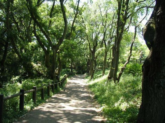 神奈川県立保土ヶ谷公園